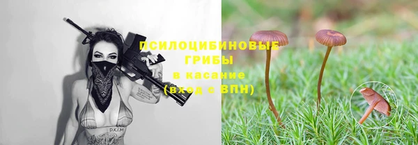 гашик Арсеньев