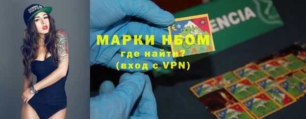 гашик Арсеньев