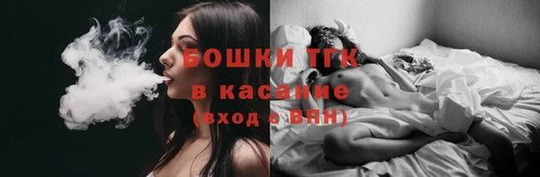 гашик Арсеньев