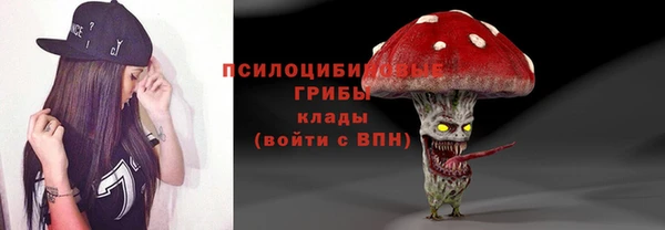 гашик Арсеньев