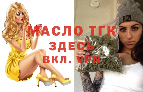 гашик Арсеньев