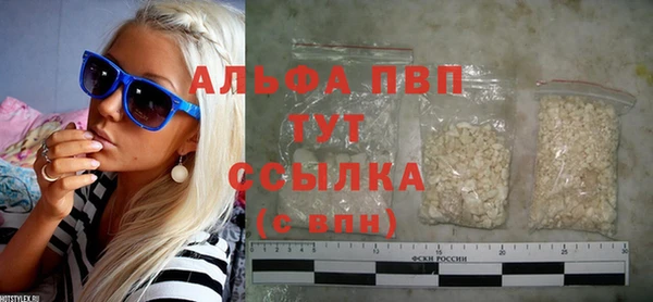 гашик Арсеньев