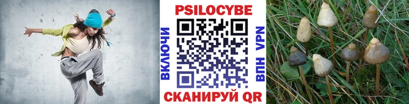 Псилоцибиновые грибы мицелий  где найти   Опочка 